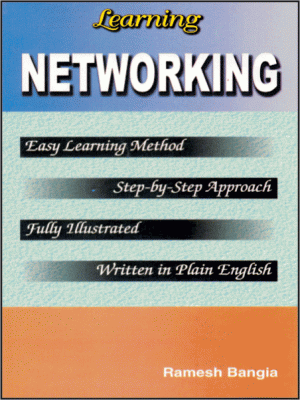 Learning Networking